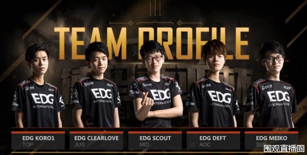 野生排球的 野生排球的